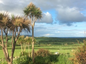 Inspiring garden views.